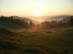 Poiana Marśoaia - východní okraj Bihoru - Rumunsko - ranní panorama (28.7.2005) 
