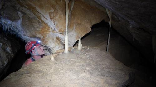 Výzdoba v Pál-volgyi cave