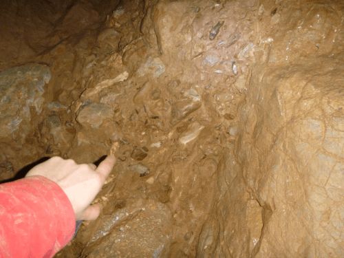 Foto 4 – Vodou očištěná stěna profilu v Sondě. Klasty kulmských hornin a vápenců.