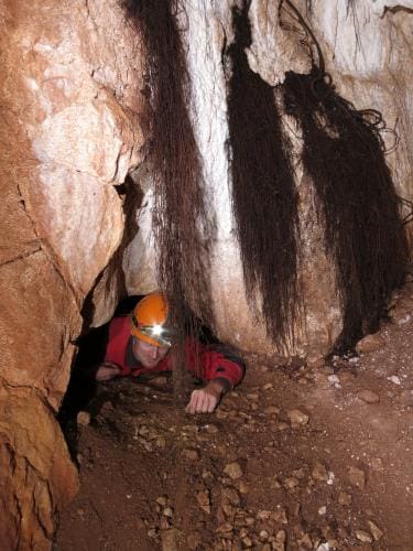 Vlasová sieň, Moravská jaskyňa